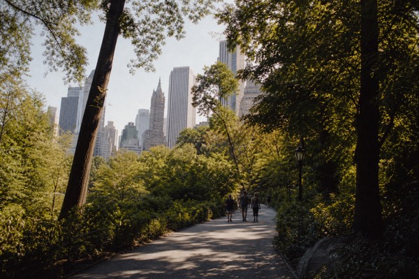 5-Day Spotlight on New York City