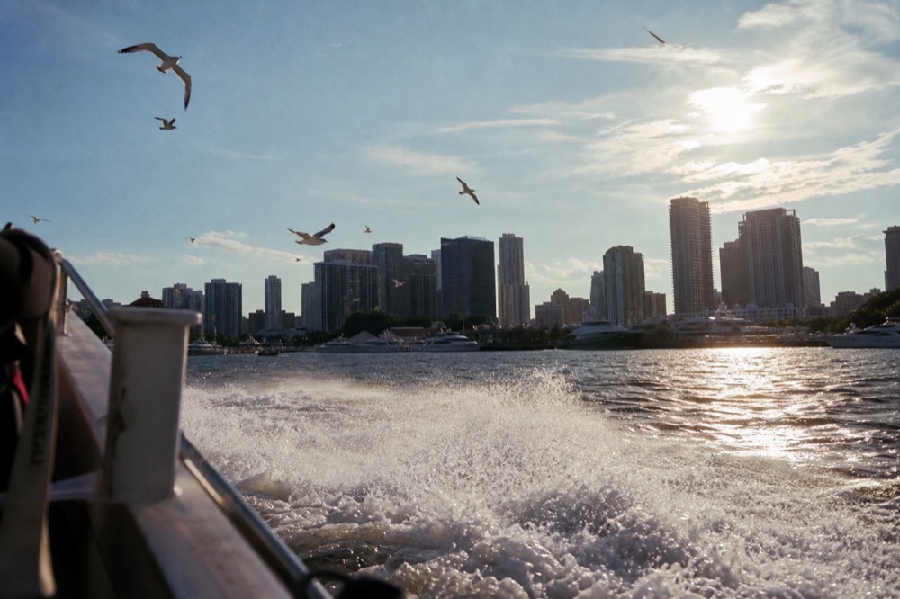 Dark harbour water breaking white against a boat hull at speed, a low skyline of glass towers backlit by afternoon sun, gulls scattered above the wake