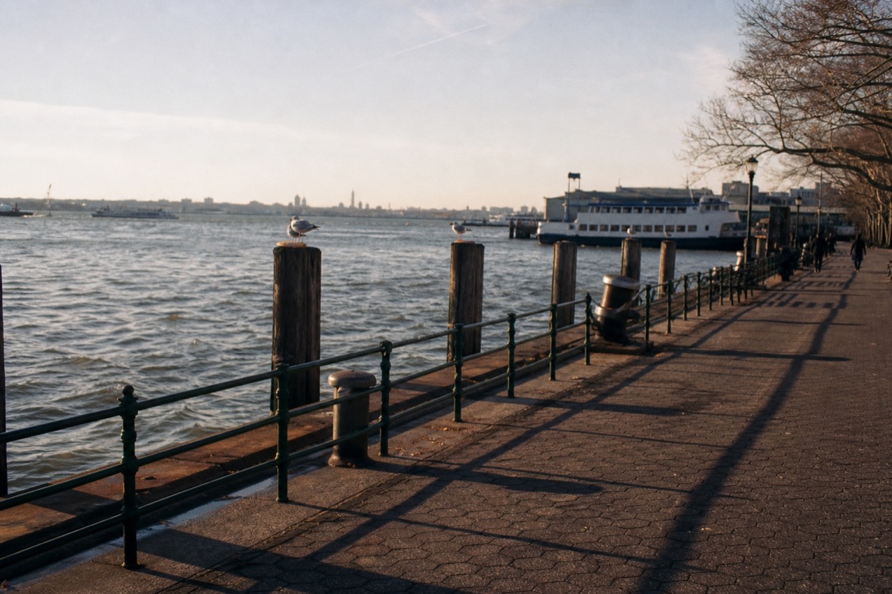 Battery Park waterfront on a bright morning, low green railings and mooring bollards, gulls on the pilings, a white ferry hull against choppy grey-green harbor water