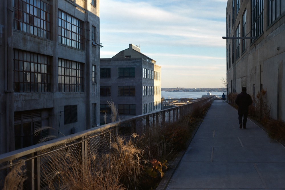 An elevated walkway between old industrial buildings, planted grasses along the rail, low sun throwing long shadows across weathered concrete decking.