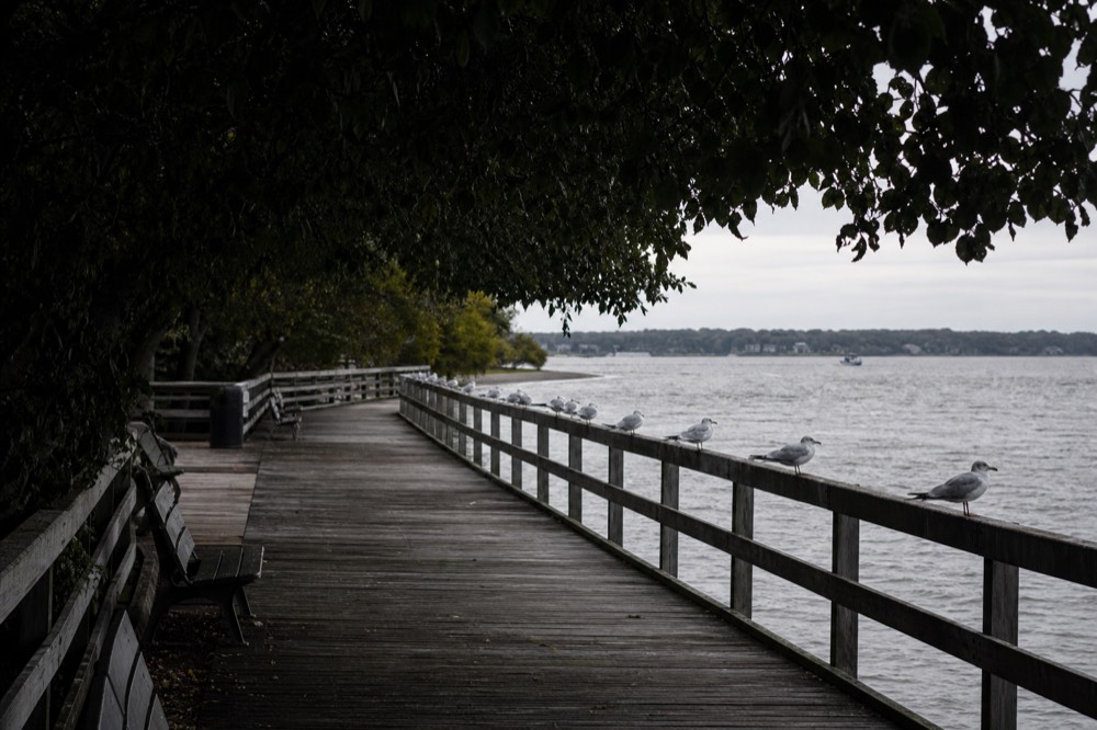 Long wooden boardwalk beside grey Atlantic surf under flat overcast light, weathered planks, empty benches facing the water, gulls lined along a railing
