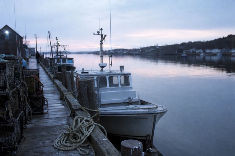 Working harbour at dawn with wooden fishing boats tied at a dock, coiled rope and stacked traps on worn planks, pale pink light on still water