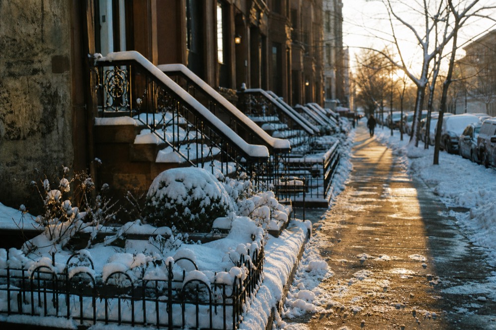 A row of brownstone stoops under fresh snow, iron railings picked out in white, a shovelled strip of sidewalk running past bare planted trees at low winter light