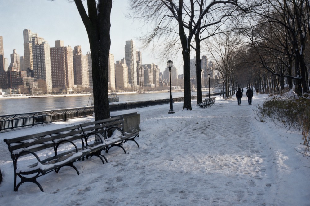 A wide park path after a snowfall, footprints running between iron benches and black tree trunks, distant apartment towers pale against a flat winter sky